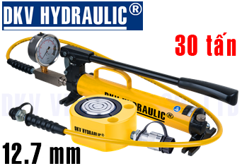 Bộ kích thủy lực mỏng RLS300