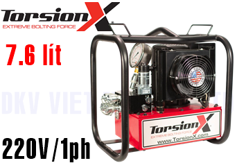 Bơm cờ lê thủy lực TorsionX PWRPAX-220