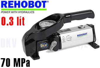 Bơm thủy lực Rehobot PHS70-300
