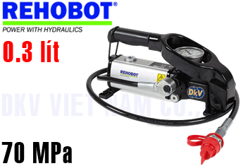 Bơm thủy lực Rehobot PHS70-300/LS201
