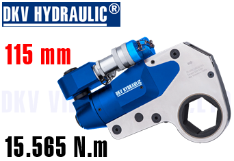 Cờ lê thủy lực DHW40