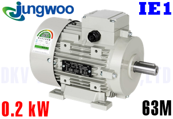 Động cơ điện Jungwoo B3 (0.2 kW, 63M)