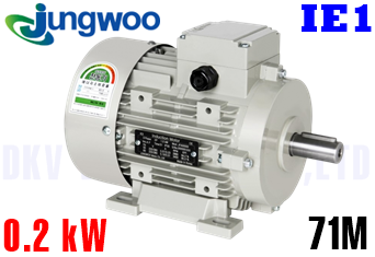 Động cơ điện Jungwoo B3 (0.2 kW, 71M)