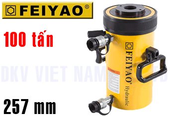 Kích thuỷ lực Feiyao FY-RRH-10010