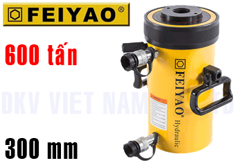 Kích thuỷ lực Feiyao FY-RRH-60012