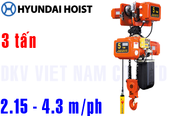 Pa lăng xích điện Hyundai FT-D300