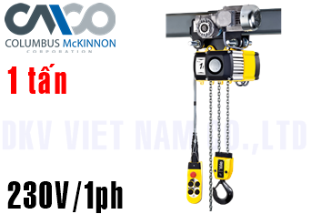 Pa lăng xích điện Yale CPVF 10-4