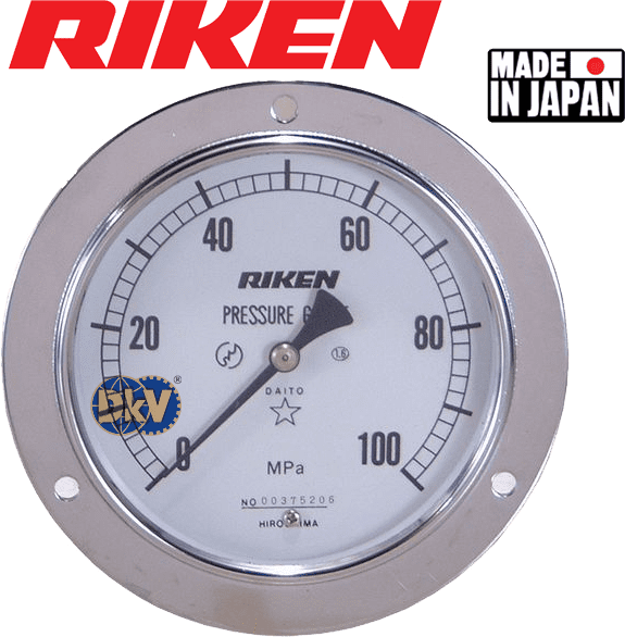 Đồng hồ áp kế thủy lực Riken DS100-100M, Riken pressure gauges DS100-100M