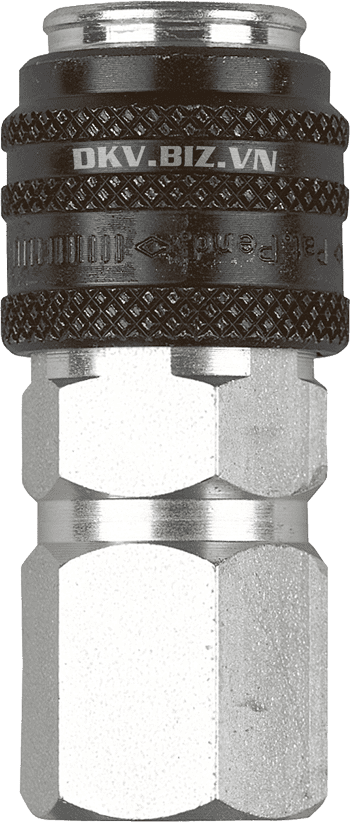 Coupler thủy lực cao áp Cejn 101161419, Cejn female hydraulic high pressure 101161419